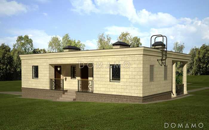 Проект одноэтажного дома вспомогательного назначения с подвалом и комнатой персонала 